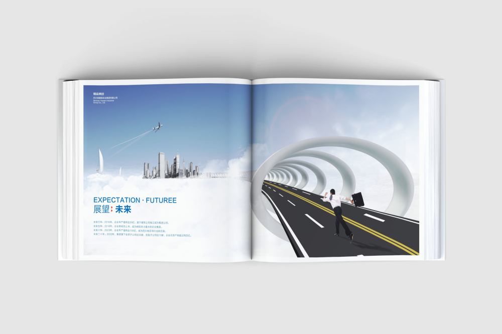 平乡县画册设计
